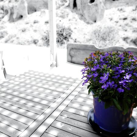 Peaceful Seafront Retreat In Santorini -Sonus Mare Beach Houses Vourvoúlos Esterno foto