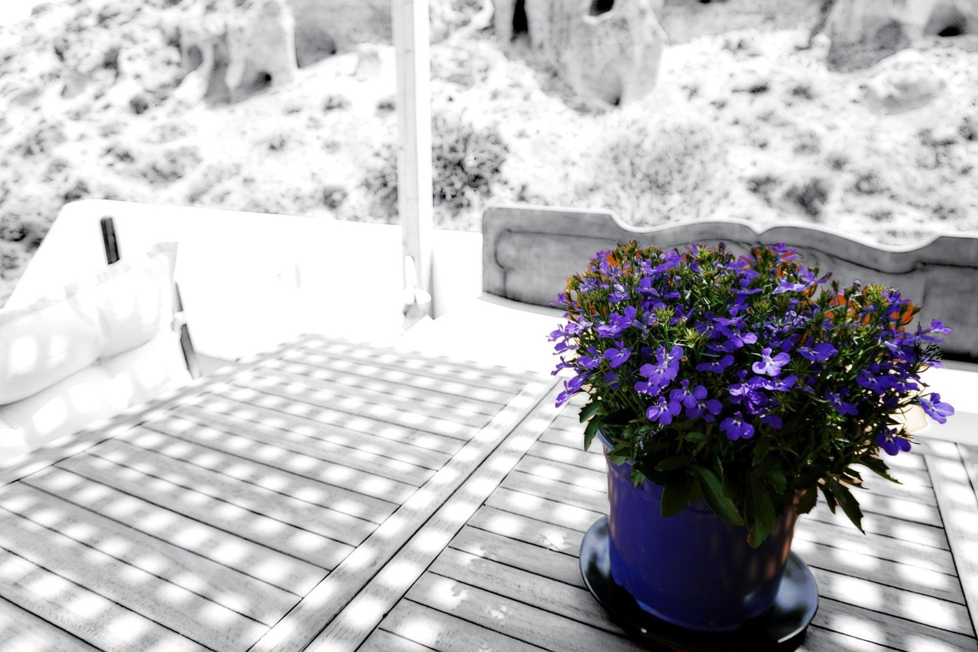 Peaceful Seafront Retreat In Santorini -Sonus Mare Beach Houses Vourvoúlos Esterno foto